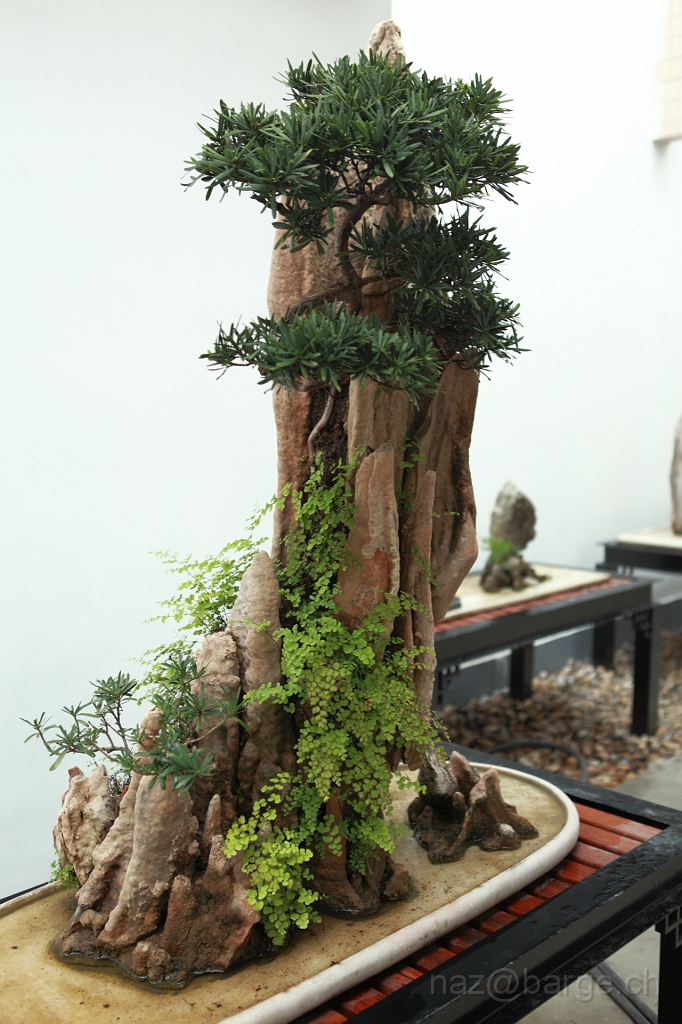 EOS 5D Mark II16_04_20135103.JPG